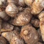 New Fresh Taro 50g and up