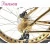 Import New model 26&quot;*4.0&quot; tires luxury gold PVD technology aluminum alloy frame beach cruiser fat bicycle snow bike fatbike from China