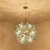 Import new modern indoor designer led home decor ceiling gold chandeliers pendant lights from China
