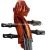 Import Newest Electric Cello with best choice from China
