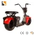 Import Newest Stand up off road 2 wheel self balancing 2000w big wheel 22 inch golf cart scooter from China