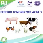 NSP Degrading Enzymes improving feed conversion as well as reducing feed costs