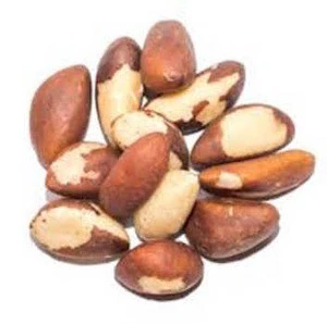 Organic Brazil Nuts for Sale Cheap Prices
