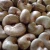 Import Organic Cashew nuts /Organic cashews/unshelled cashew from South Africa