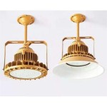 Original Factory Newest 50w 100w 150w 200w Led Explosion Proof Light