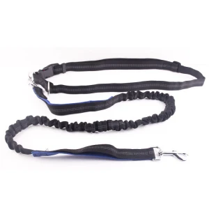 Outside Morning Run Classic Traction Collar Pet Dog Lead Leash Rope Paracord Walking Dog Rope