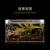 Import Pet incubator glass crawling pet reptile reptile spider scorpion terrarium box landscaping cylinder from China
