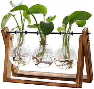 Plant Terrarium Desktop Glass Planter Bulb Vases with Retro Solid Wooden Stand Flower Pots Hydroponics Plants Home Garden