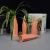 Import Plant Watering Stakes Plant Waterer Watering Spikes Small for Outdoor Indoor Plants from China