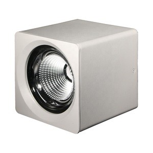 Popular Waterproof 10W 20W 30W 40W 45W Square Surface Mounted Led Downlight IP67 For Commercial Lighting