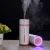Import Portable Face Cleaning Nano Sprayer Handy Mist Facial Nebulizer Steamer USB Moisturizing Hydrating Nano Ion Cold Hot Humidifier from China