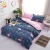 Import Premium Cartoon Flamingos Digital Printed Polyester Comforter Bed Sheet Bedding Sets from China