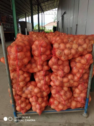 Premium Fresh Onions direct from Thailand Farm (Premium Quality Fresh Onion)