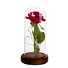 Preserved rose in glass dome with led light beauty and the beast rose in a glass wholesale wedding valentine&#039;s day gifts