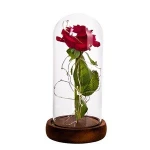 Preserved rose in glass dome with led light beauty and the beast rose in a glass wholesale wedding valentine's day gifts