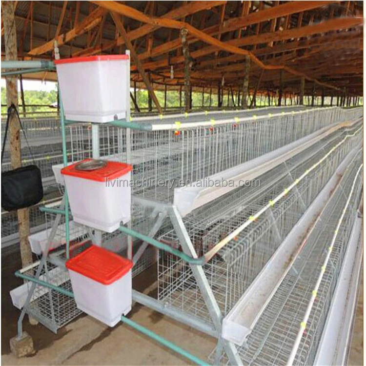 Professional Poultry Farming Commercial Egg Production Equipment
