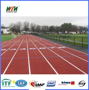 PU Rubber Running Tracks Field Surface Material Price