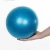 Import PVC 25cm Anti-burst Gym Fitness Pilates Yoga Ball from China