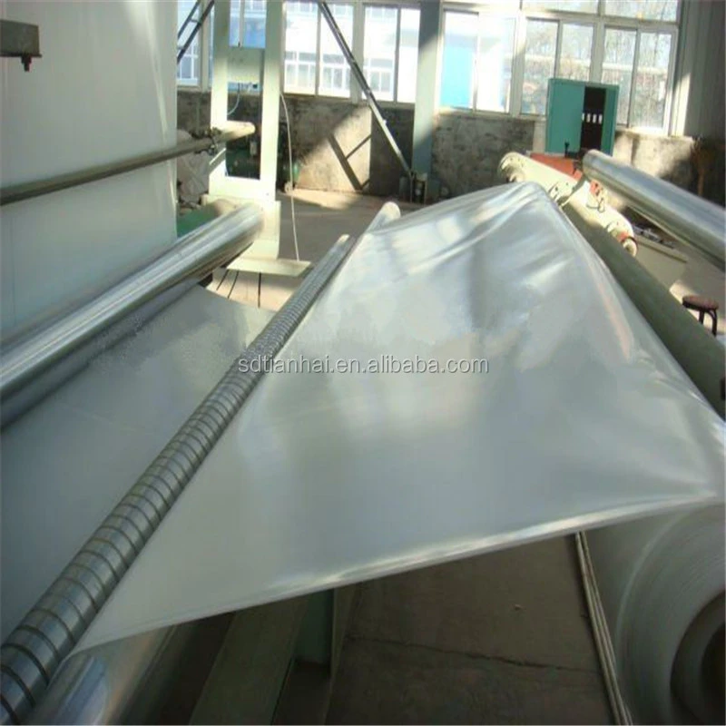 PVC/EVA/ECB/TPO High Polymer SBS Waterproof Roll Material for Railway Projects