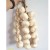 Import Qingyuan landscape ornaments realistic artificial vegetable onion from China