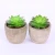 Import QSLH-PE043 Handmade Indoor Decorations Artificial Succulents Plants with Pot from China