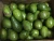 Import Quality Cheap Fresh Avocados From South Africa from South Africa