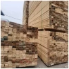 Raw Plank Sawn Treated Pine Wood Lumber Timber for Construction