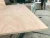Import Red hardwood plywood with big size 1530x3050mm from China
