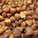 rorganic oasted buckwheat kernel