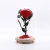Import roses DIY preserved rose head decorative real eternal flower in glass dome from China