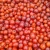 Import S274  Top grade pure wild jujube seed from China