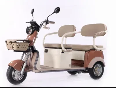 Sales New Style Electric Tricycle for Picking up Children Passengers