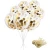 Import Sales promotion confetti balloon 12inch latex balloon with 2.5cm gold confetti latex balloon from China