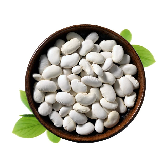 Sales! White Kidney Bean Extract powder 1% Phaseolin
