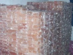 Salt Bricks 200x100x50mm TWC-402