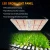 Import Samsung LM301b 660W SF 6000 Full Spectrum Plant Growing Lamps 660nm 760nm IR Commercial LED Grow Lights from China