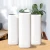 Import Scenta Top Sale Luxury Electric Waterless Aroma Diffuser Industrial Bluetooth Essential Oil Diffuser Hotel Room Scent Diffuser Machine from China