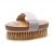 Import Scrub Brushing Exfoliating  Natural Bristle Cleaning Dry Body Bath Brush For The Back from China