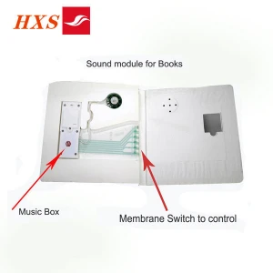 Shenzhen Supply Push Button Electronic Story Book Sound Module