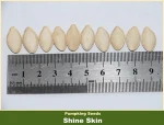 shine skin pumpkin seed kernel