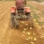 single row potato harvester for hand walking tractor on sale