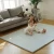 Import Size Customized Eco-friendly Leather XPE Play Mat Folding  Climbing Mat Playmat  For Kids Easy To Storage from China