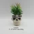 Import skull ceramic planter pot for 2020 halloween decoration from China