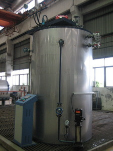 Small vertical 300kg steam boiler gas heated