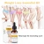 Import SNMLPM Hot sale Anti Cellulite Weight Loss Massage Slimming Essential Oil 30ml from China