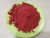 Import Soluble instant strawberry fruit juice flavour organic strawberry powder from China