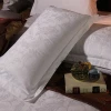 Star Hotel 100% cotton 300T jacquard hotel bedsheet bedding sets