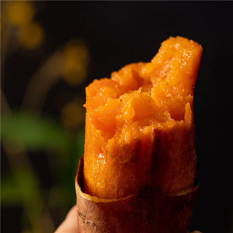 Sweet potatoes that dieters love to eat delicious fresh red sweet potatoes