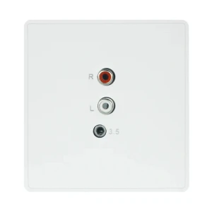 TianLai86 Standard Smart Home System RCA and 3.5 AUX Jack Input Wall Audio Panel Easy Connection