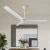 Import TNTSTAR TNT-202 220v dc industrial 56 inch ceiling fan led bldc light prices remote modern restaurant low smart outdoor from China